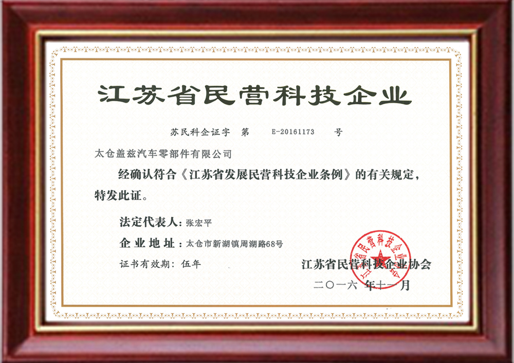 Private technology enterprises in Jiangsu Province